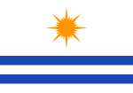 Bandeira de Palmas